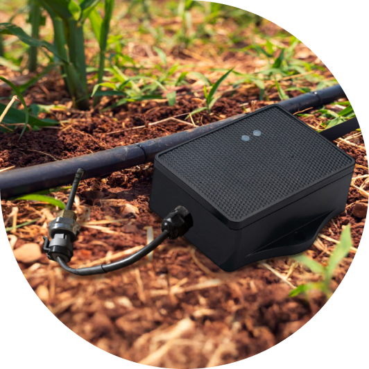 YardPro leak sensor installed along a drip line